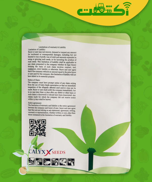 بذر خیار جرار اف 1