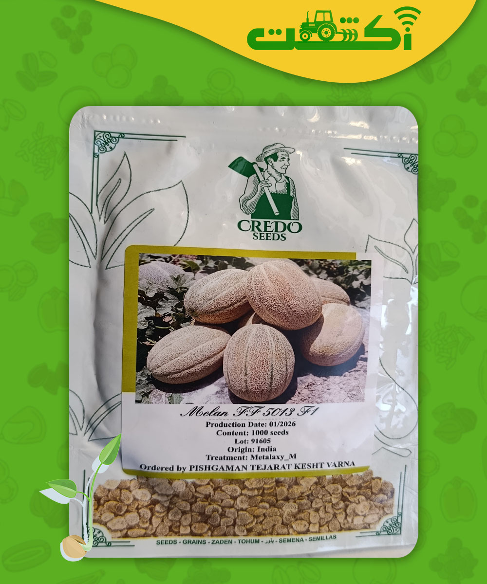 بذر ملون جانا 5013 عکس پاکت خربزه جانا 5013