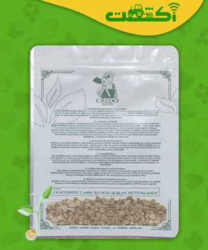 بذر گوجه هلندی