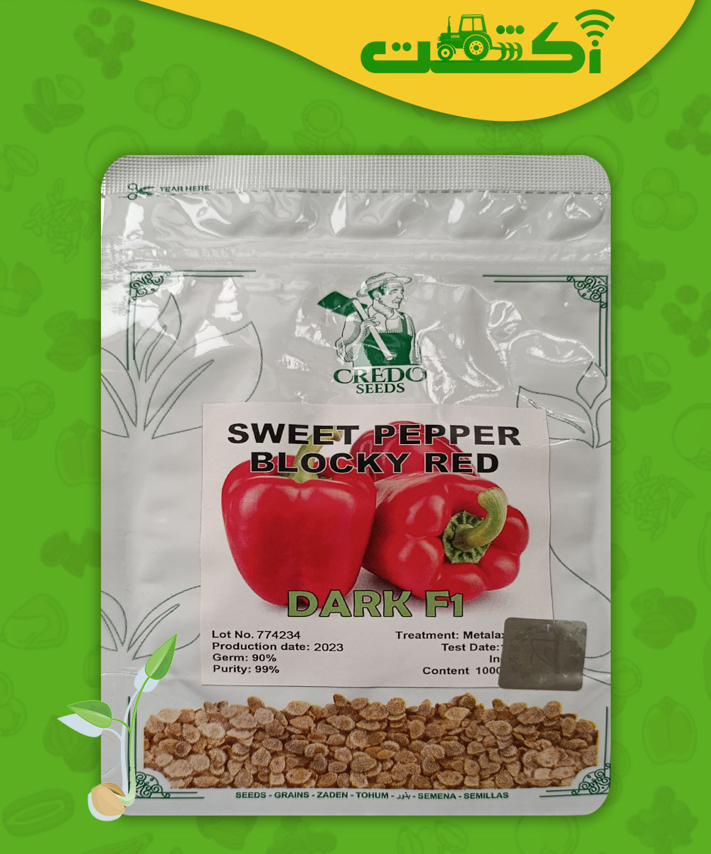 بذر فلفل دلمه گلخانه ای قرمز دارک Fl عکس پاکت فلفل دلمه گلخانه ای قرمز دارک