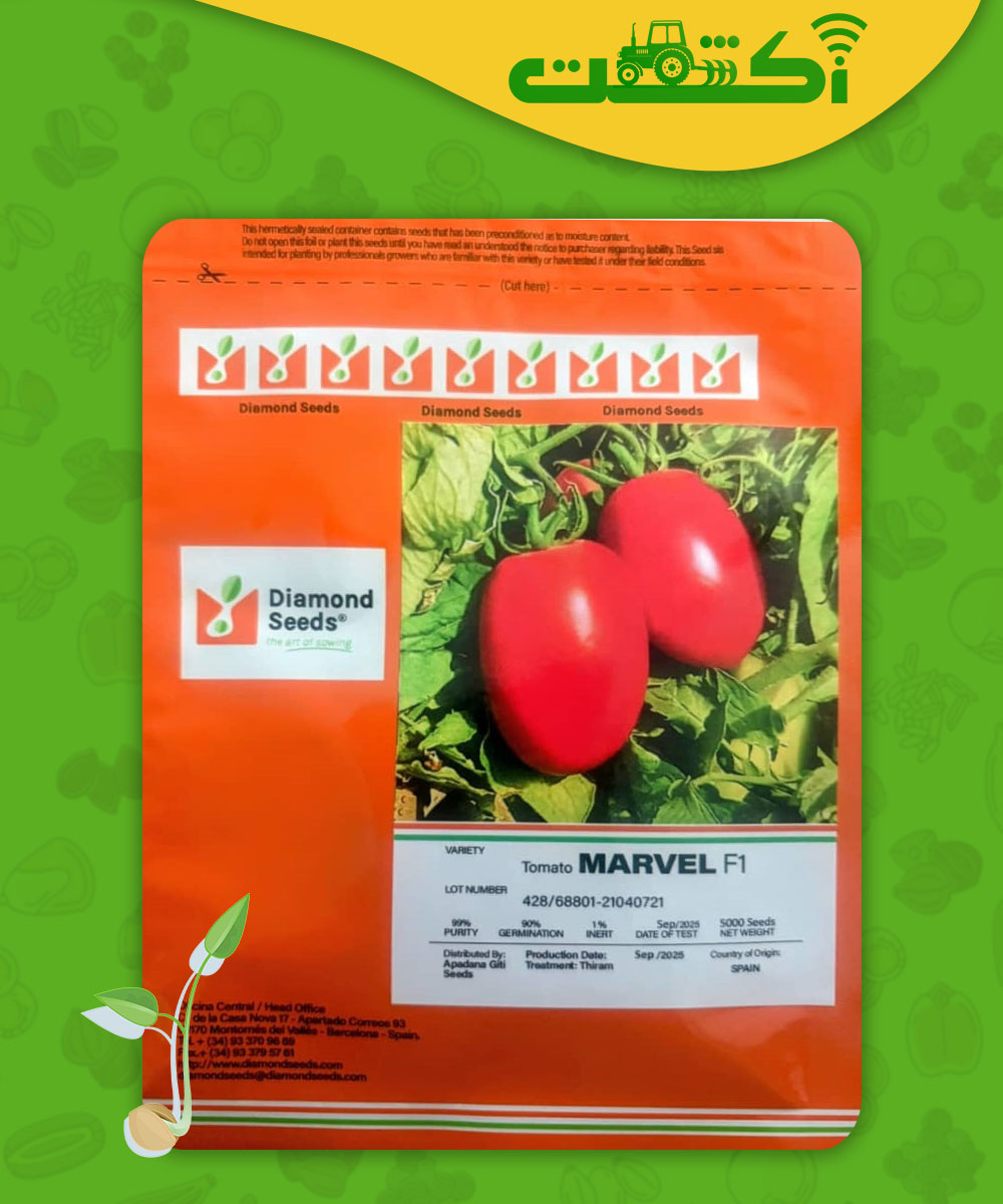 بذر گوجه مارول عکس جدید بسته بندی گوجه مارول 5000 عددی