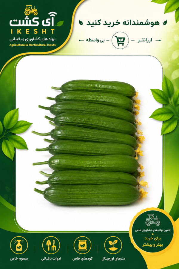 عکس خیار گالاردو