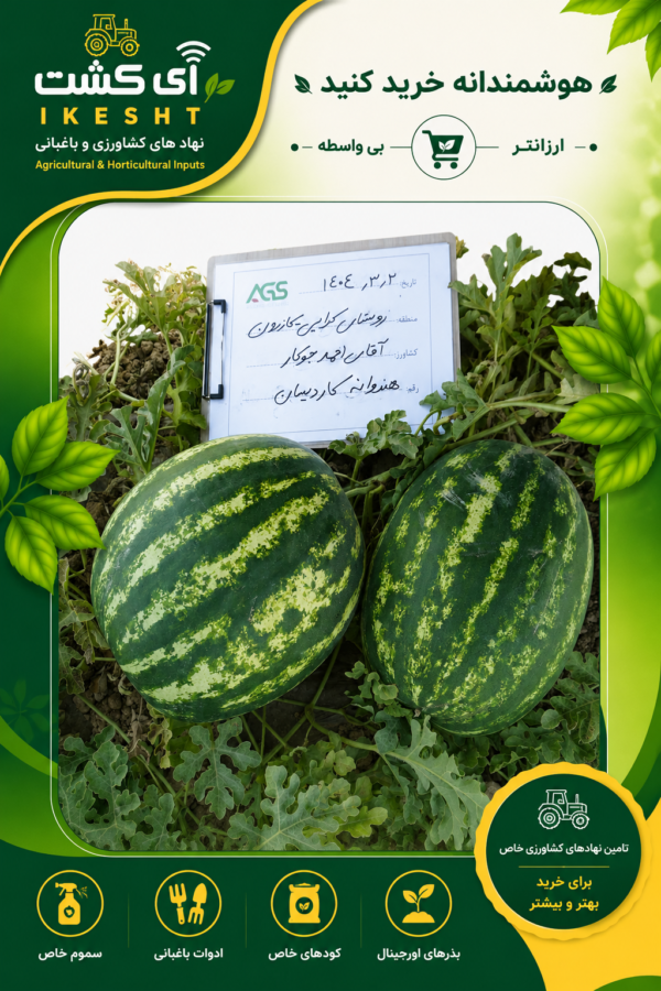 عکس هندوانه کاردیسان