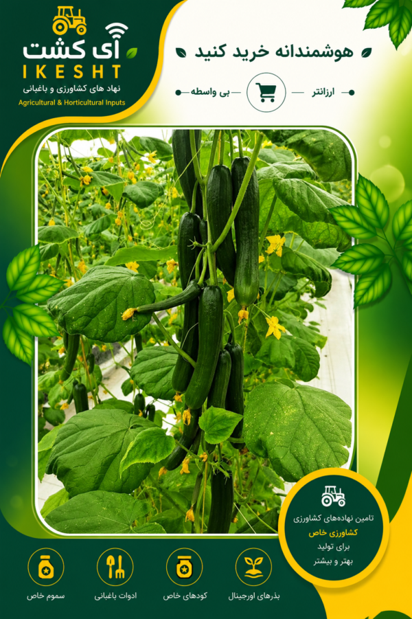 عکس میوه خیار گالاردو