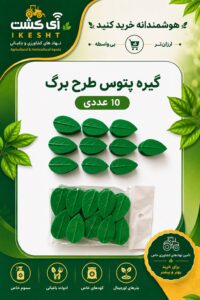 عکس گیره پتوس طرح برگ