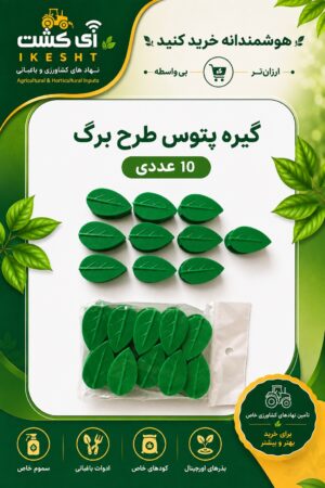 عکس گیره پتوس طرح برگ